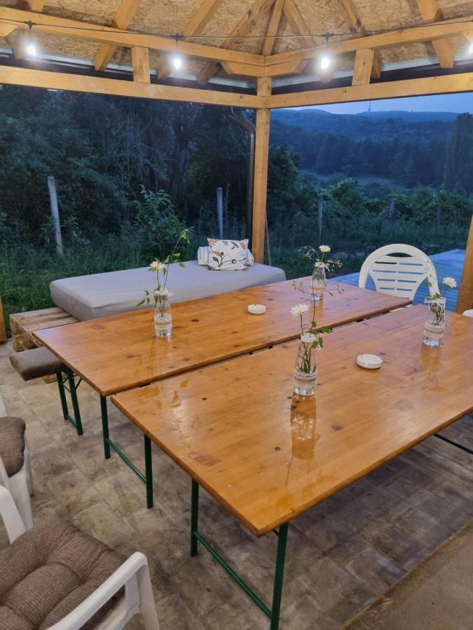 Villa Hoopovo House Fruska Gora Irig Exterior foto